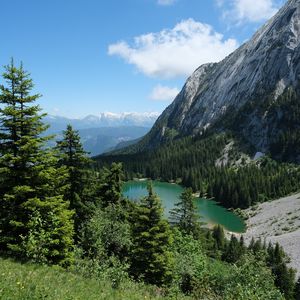 Preview wallpaper trees, lake, forest, mountain