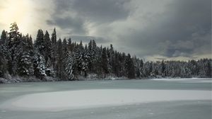 Preview wallpaper trees, lake, ice, snow, winter