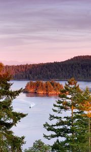 Preview wallpaper trees, lake, island, boat, nature