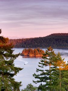 Preview wallpaper trees, lake, island, boat, nature