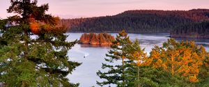 Preview wallpaper trees, lake, island, boat, nature