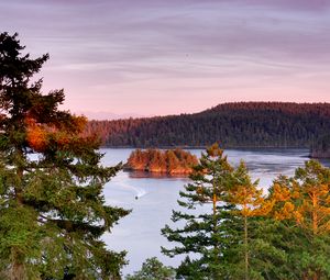 Preview wallpaper trees, lake, island, boat, nature