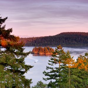 Preview wallpaper trees, lake, island, boat, nature