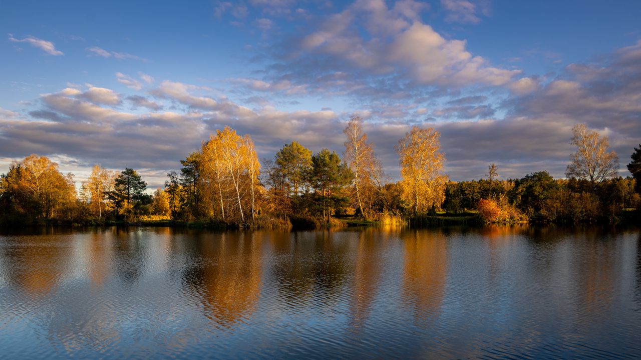 Wallpaper trees, lake, landscape, autumn, nature