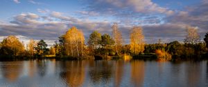 Preview wallpaper trees, lake, landscape, autumn, nature