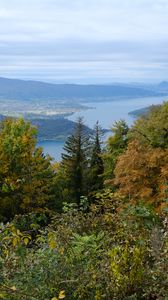 Preview wallpaper trees, lake, landscape, nature