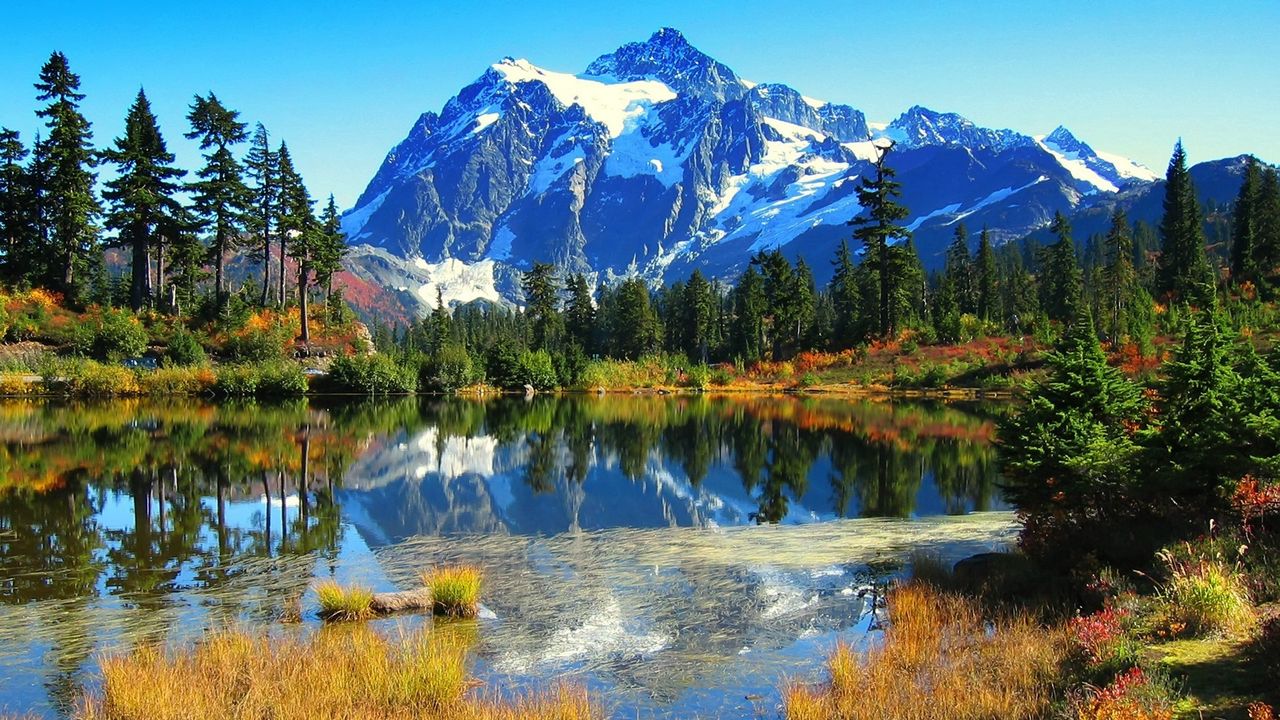 Wallpaper trees, lake, mountains, autumn, ooze