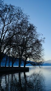 Preview wallpaper trees, lake, mountains, water, shore