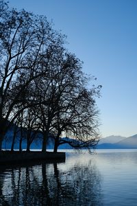 Preview wallpaper trees, lake, mountains, water, shore