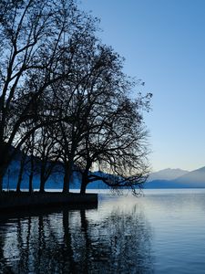 Preview wallpaper trees, lake, mountains, water, shore