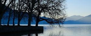 Preview wallpaper trees, lake, mountains, water, shore