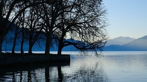 Preview wallpaper trees, lake, mountains, water, shore