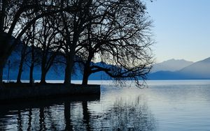 Preview wallpaper trees, lake, mountains, water, shore