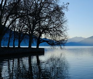 Preview wallpaper trees, lake, mountains, water, shore