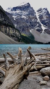 Preview wallpaper trees, lake, mountains, dry, nature