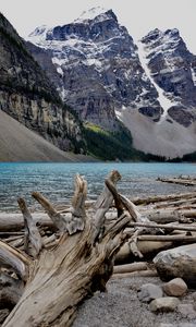 Preview wallpaper trees, lake, mountains, dry, nature