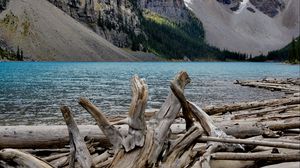 Preview wallpaper trees, lake, mountains, dry, nature