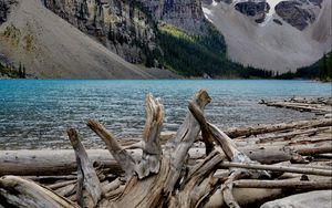 Preview wallpaper trees, lake, mountains, dry, nature