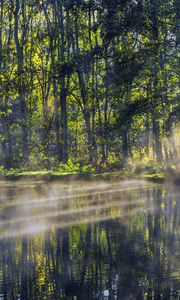 Preview wallpaper trees, lake, rays, sun, fog, nature