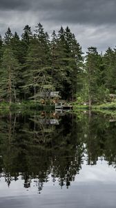 Preview wallpaper trees, lake, reflection