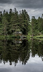 Preview wallpaper trees, lake, reflection