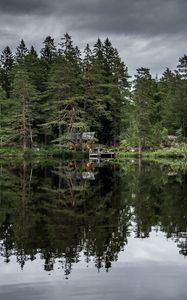 Preview wallpaper trees, lake, reflection