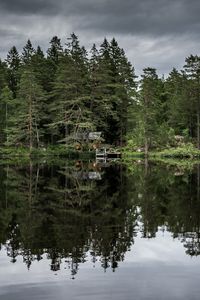 Preview wallpaper trees, lake, reflection