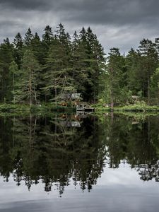 Preview wallpaper trees, lake, reflection