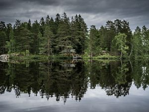 Preview wallpaper trees, lake, reflection