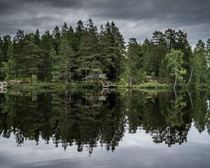 Preview wallpaper trees, lake, reflection