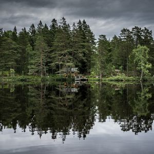 Preview wallpaper trees, lake, reflection