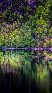 Preview wallpaper trees, lake, reflection, forest
