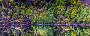 Preview wallpaper trees, lake, reflection, forest