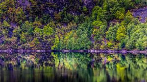 Preview wallpaper trees, lake, reflection, forest