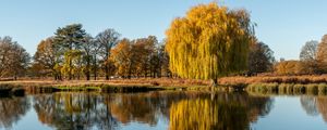 Preview wallpaper trees, lake, reflection, water, nature