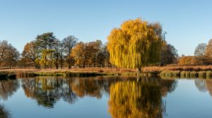 Preview wallpaper trees, lake, reflection, water, nature