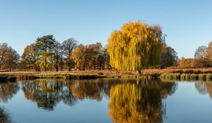 Preview wallpaper trees, lake, reflection, water, nature
