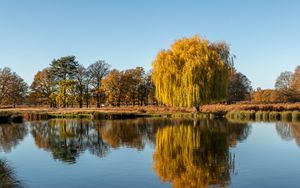 Preview wallpaper trees, lake, reflection, water, nature