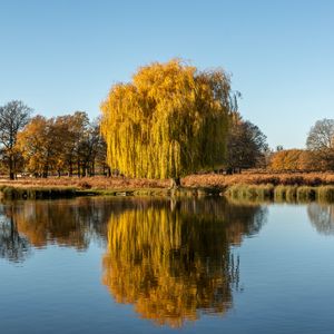Preview wallpaper trees, lake, reflection, water, nature