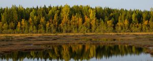 Preview wallpaper trees, lake, reflection, forest, grass