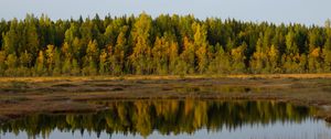 Preview wallpaper trees, lake, reflection, forest, grass