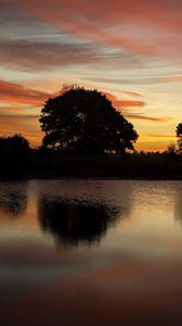 Preview wallpaper trees, lake, reflection, evening, sunset