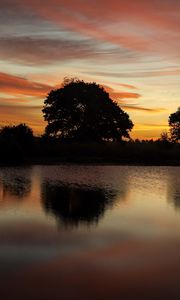 Preview wallpaper trees, lake, reflection, evening, sunset