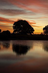 Preview wallpaper trees, lake, reflection, evening, sunset