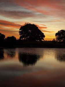 Preview wallpaper trees, lake, reflection, evening, sunset