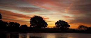 Preview wallpaper trees, lake, reflection, evening, sunset