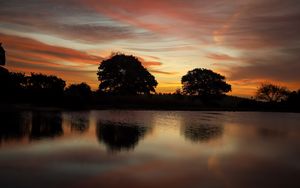 Preview wallpaper trees, lake, reflection, evening, sunset