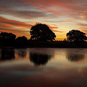 Preview wallpaper trees, lake, reflection, evening, sunset