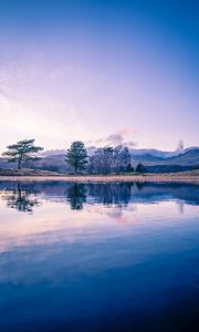 Preview wallpaper trees, lake, reflection, twilight