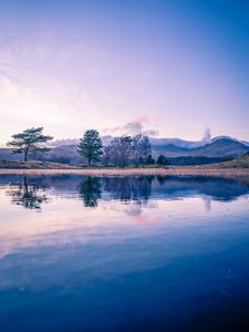 Preview wallpaper trees, lake, reflection, twilight